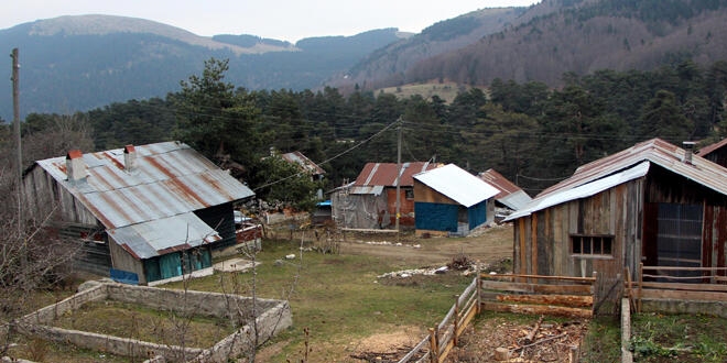 Bolu'da 8 atın 'ruam' karantinası sürüyor