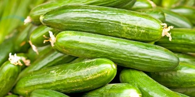 Salatalığa yüzde yüz zam