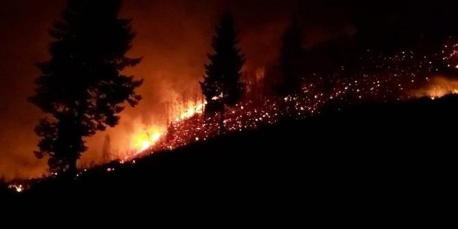 Trabzon'daki yangınlarla ilgili 7 kişi hakkında soruşturma başlatıldı