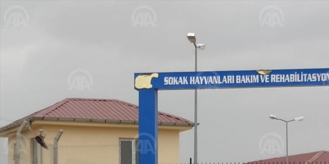 HDP'li belediyenin hayvan barınağında havan mermisi bulundu