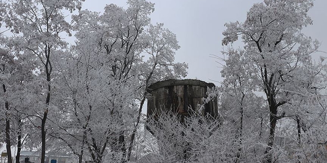 Kars ve Ağrı'da dondurucu soğuklar etkili oluyor
