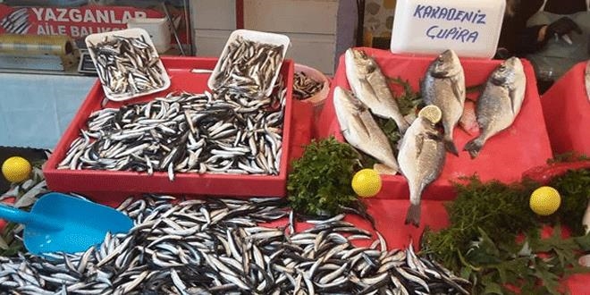 Balık azlığı tezgahlardaki fiyatlara da yansıdı