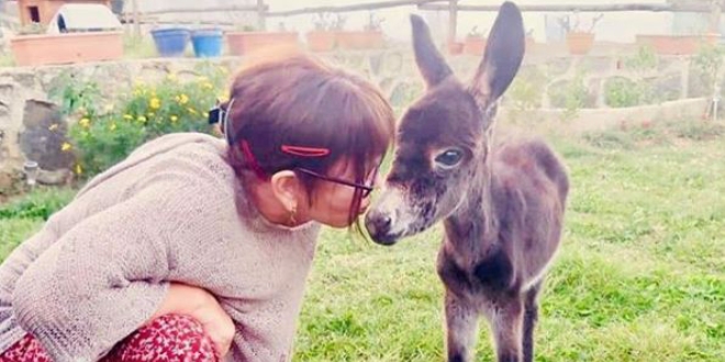 Sezen Aksu sahiplendiği sıpayla evinden fotoğraf paylaştı