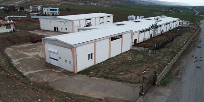 Yüzlerce büyükbaşla ortadan kaybolan dolandırıcı aranıyor