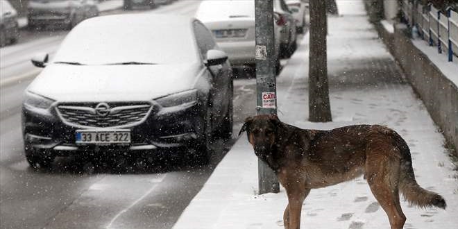 Ankara'da kar yağışı etkili oldu
