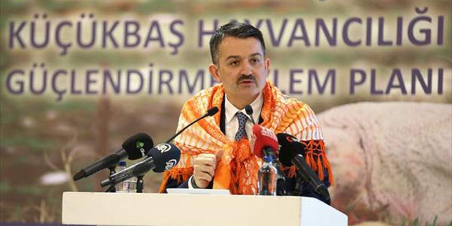 Bakan Pakdemirli'den 'sürü yöneticisi desteği' açıklaması