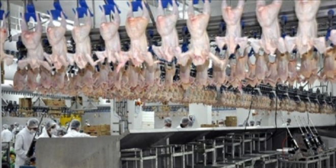 Ünlü piliç markası icradan satışa çıkacak