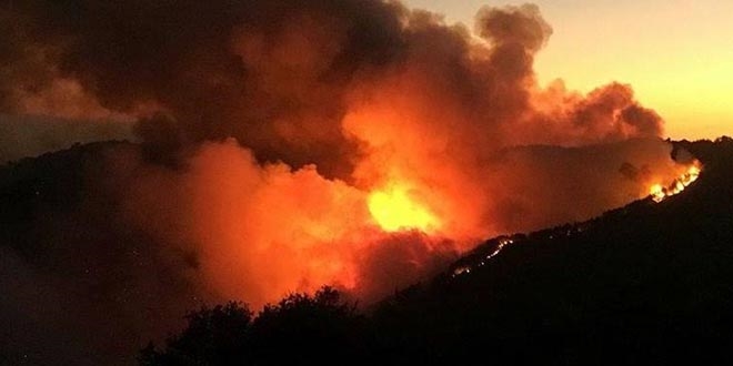 PKK'nın yangın yalanı ortaya çıktı
