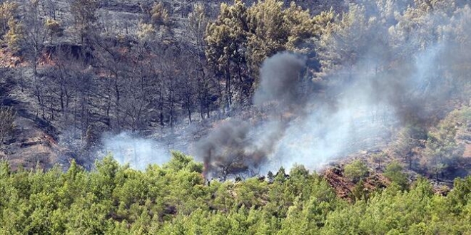 Terör örgütü PKK/KCK'nın 'yangın' yalanı çürütüldü