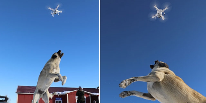'Bulut'un drone ile imtihanı