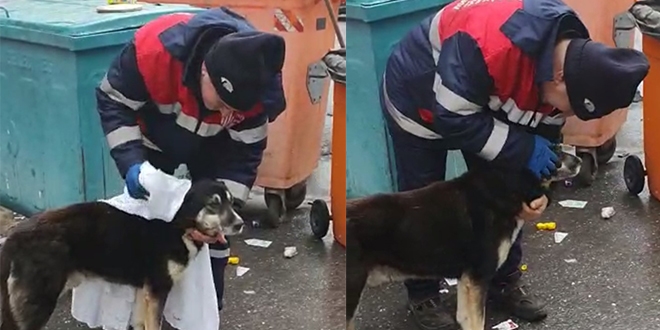 Bu görüntüler yüreğinizi ısıtacak!
