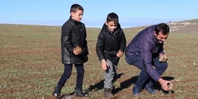 Tarlasında bulmuştu, 68 bin dolar teklif geldi