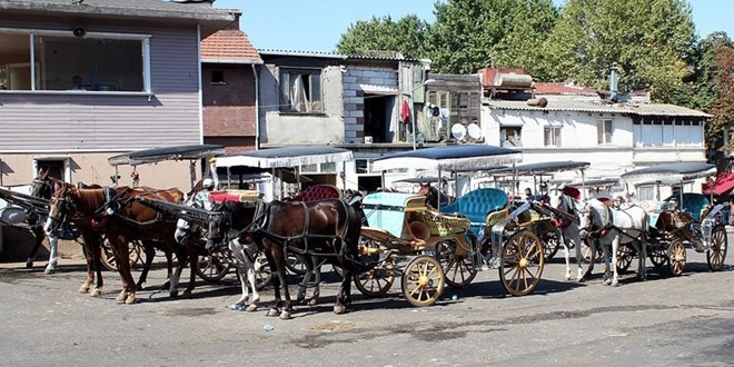 Adalar'daki faytonlar 70 milyon liraya İBB'ye geçecek
