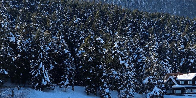 İyi bir sömestr tatili için tatil yerleri