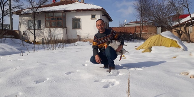 Kaz �reticili�i h�zla art�yor