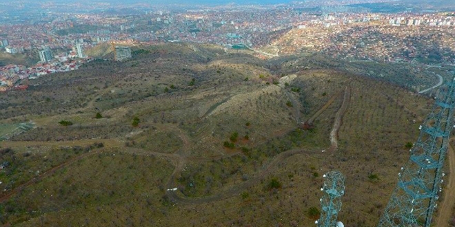 Ankara'ya yeni bir Hayvanat Bahçesi yapılacak