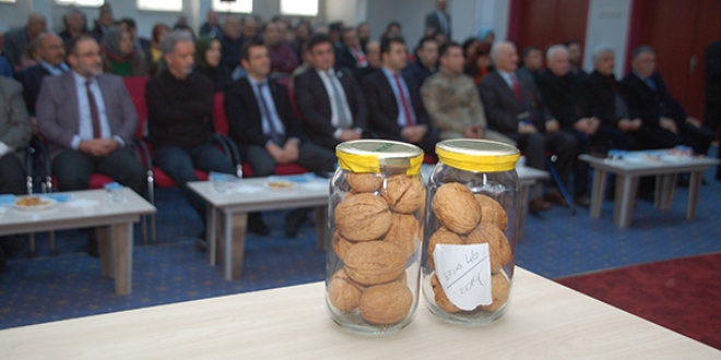 'Ceviz artık bir meyveden çok sağlık için kullanılan tablettir'