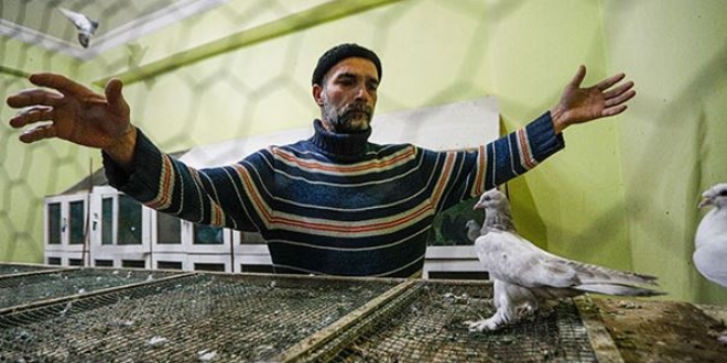 Otomobil fiyat�na g�vercin