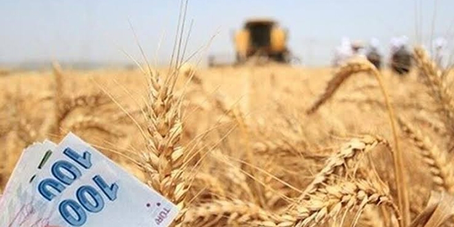 Deprem bölgesinde tarımsal destek ödemeleri bugün yapılacak