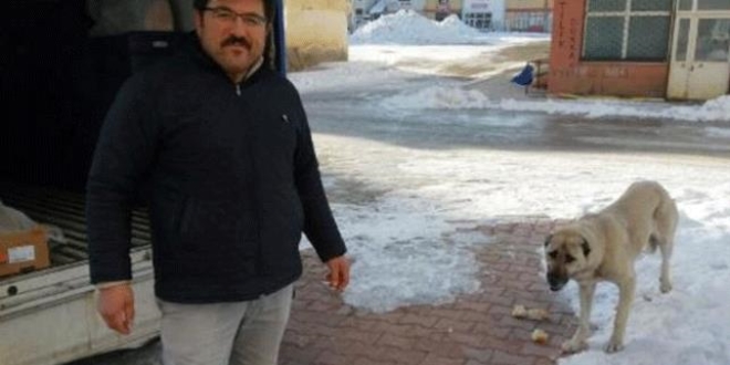 Herkes ekmeğinin peşinde