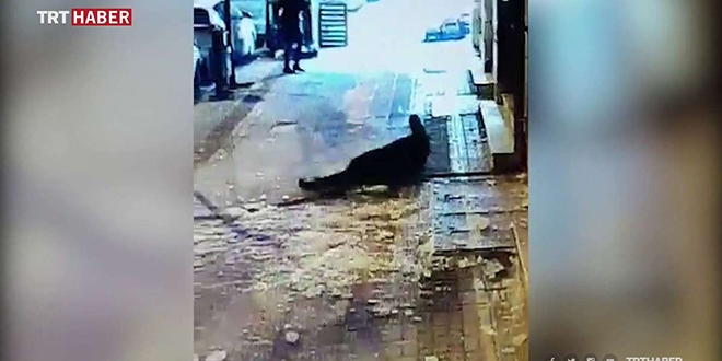 Kafasına buz kütlesi düştü, hastanelik oldu