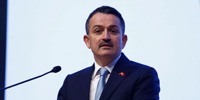 Bakan Pakdemirli: TİGEM, 2019'da 237 yarış tayı sattı