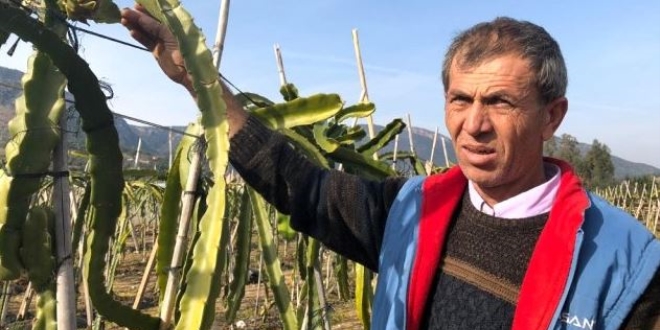 Denemek için ekti, şimdi siparişlere yetişemiyor
