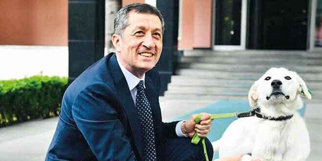 Okullarda evcil hayvan sayısı 9 bine ulaştı