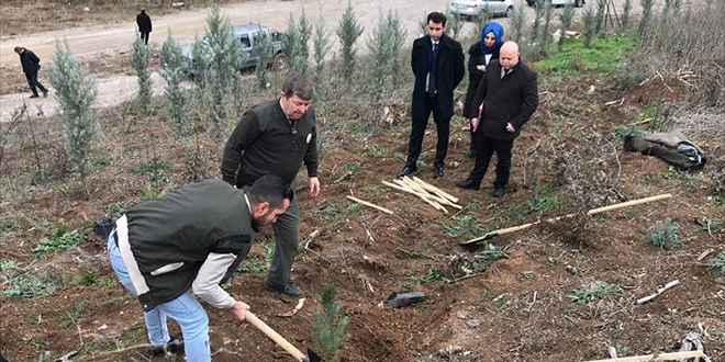 Hatıra ormanına fidan dikerek ceza almaktan kurtuldular
