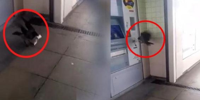 Akbiline yükleyeceği parasını kargaya kaptırdı