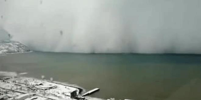 Artvin'de t�yler �rperten g�r�nt�!