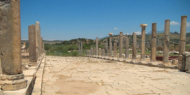 2020'nin 'Patara yılı' ilan edilmesi sevinçle karşılandı