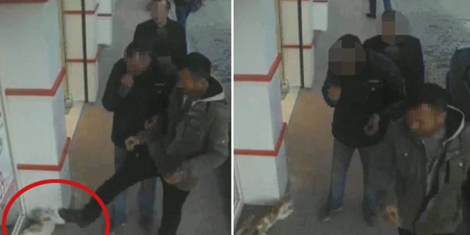 Kaldırımdaki kediye tekme atan şahsa para cezası
