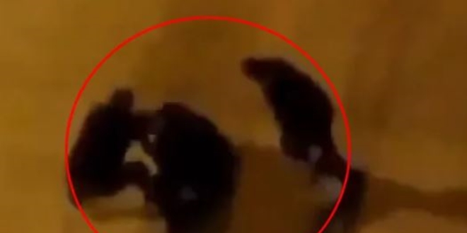Bekçiler alkollü adamı yerde sürükleyip tekmeledi