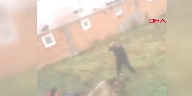 Önce hayvana eziyet etti, ardından kesti