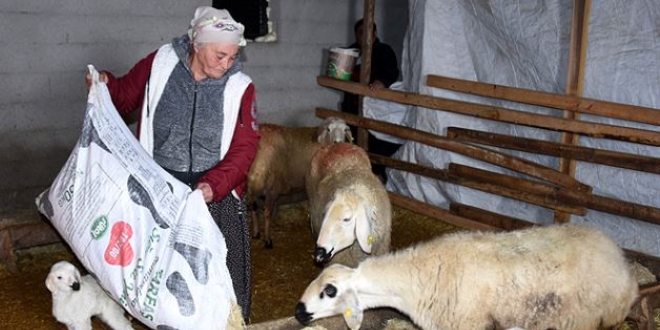 Kadın girişimci hibeyle çiftliğini ve mandırasını kurdu