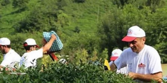 ÇAYKUR'un mevsimlik işçi alımı için başvurular başladı