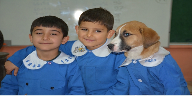 'Fındık'a gençlik hastalığı teşhisi kondu