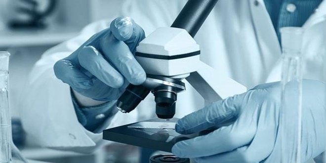 Nefes almayan bir canl� ke�fedildi