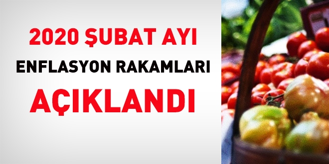 Şubat ayı enflasyon rakamları açıklandı