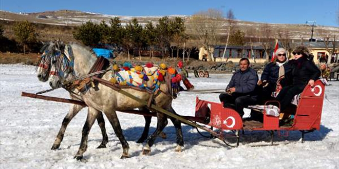 Çıldır Gölü'nde atlı kızak keyfi mart sonuna kadar sürecek