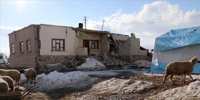 Depremde telef olan hayvanların bedelleri ödenecek