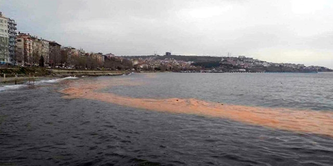 Tekirdağ'da deniz turuncu renge büründü