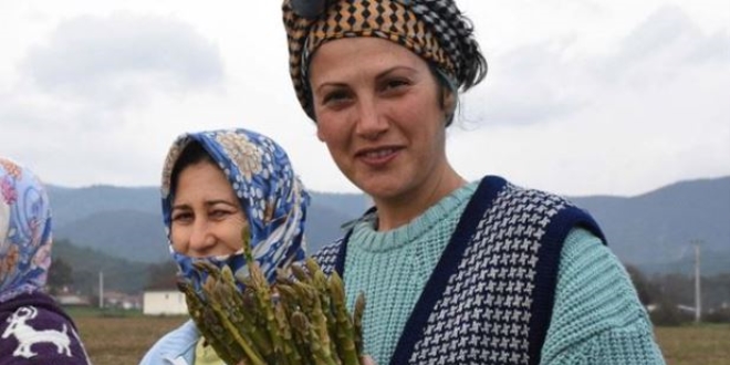 Kadın yönetici kariyerini bırakıp kuşkonmaz üreticisi oldu