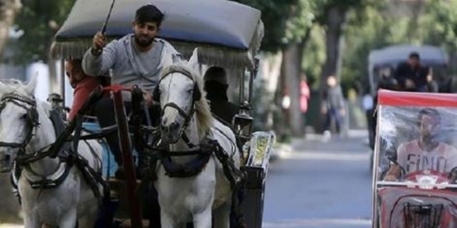 Adalar'daki atlar sahiplendirilecek