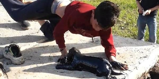 Atık petrol kuyusuna düşen yavru köpeklerin yardımına çocuklar koştu