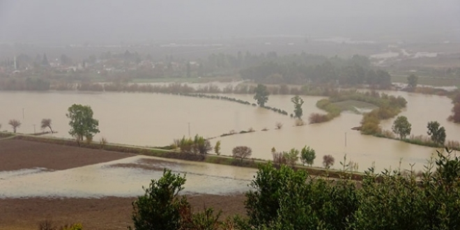 Ceyhan Nehri taştı, tarım alanları su altında kaldı
