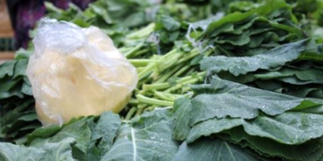 Ba����kl�k sistemini g��lendiren karalahanaya ilgi artt�