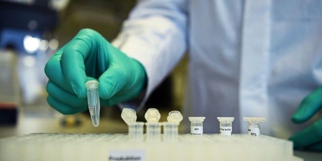Koronavirüs aşısı test edilmeye başlandı