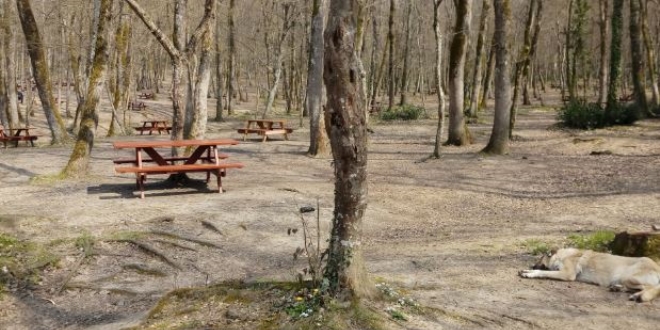 Piknik�iler uyar�lara uydu, Belgrad Orman� bo� kald�